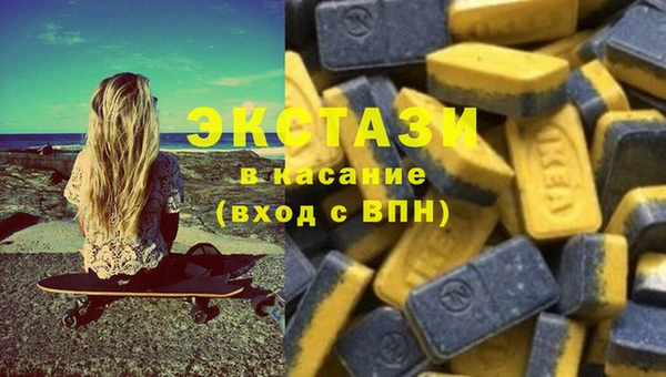 индика Зеленодольск