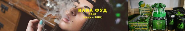 индика Зеленодольск