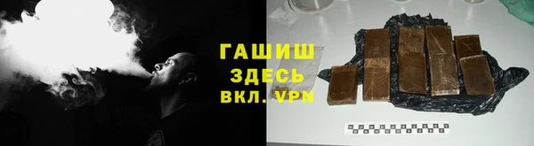 индика Зеленодольск