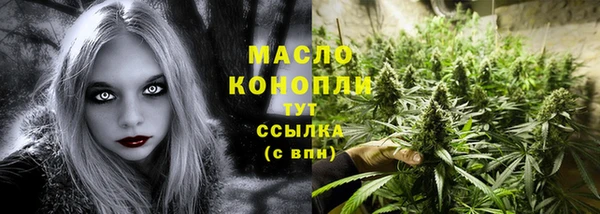 индика Зеленодольск
