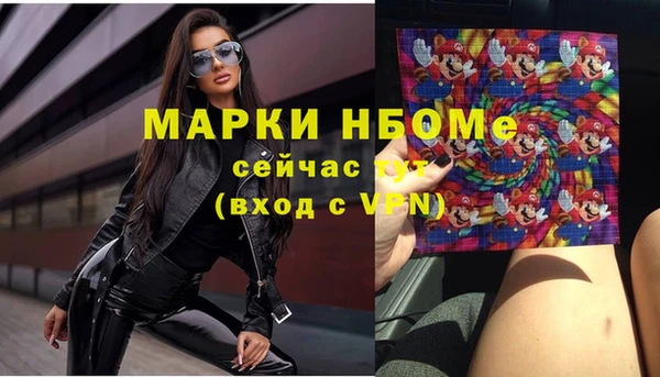 индика Зеленодольск