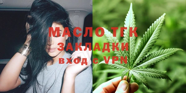 индика Зеленодольск