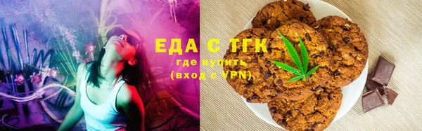 индика Зеленодольск