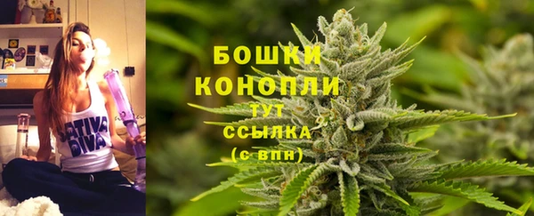 индика Зеленодольск