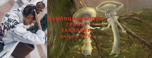бошки Зеленокумск