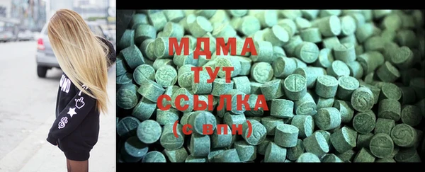 индика Зеленодольск