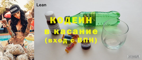 индика Зеленодольск