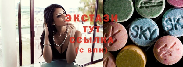 индика Зеленодольск