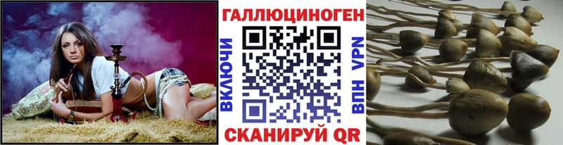 Галлюциногенные грибы Magic Shrooms  Купить где  Новоульяновск 